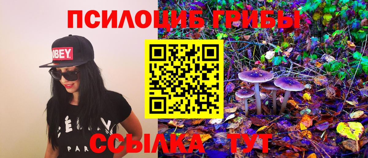 Псилоцибиновые грибы мицелий Жуковский