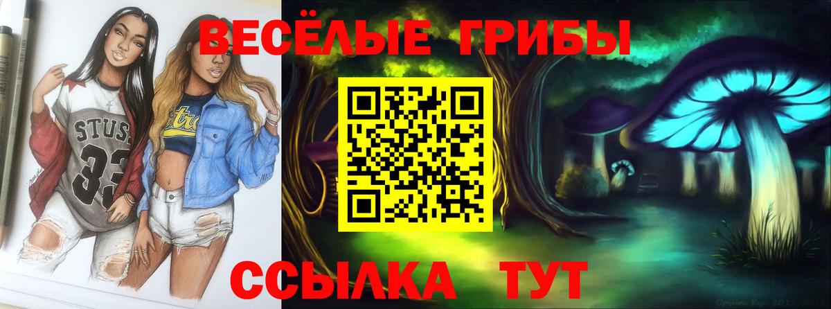 Галлюциногенные грибы мухоморы  Вход с VPN  Жуковский 